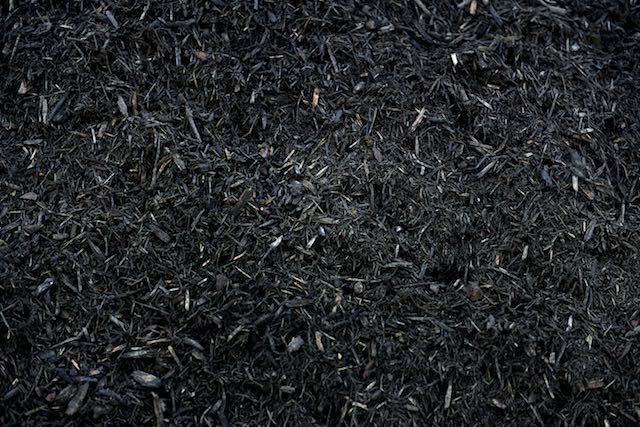 black cedar mulch